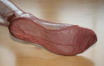 Victory Lace FF Vintage US Net Stockings